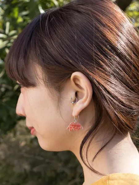??? Earrings