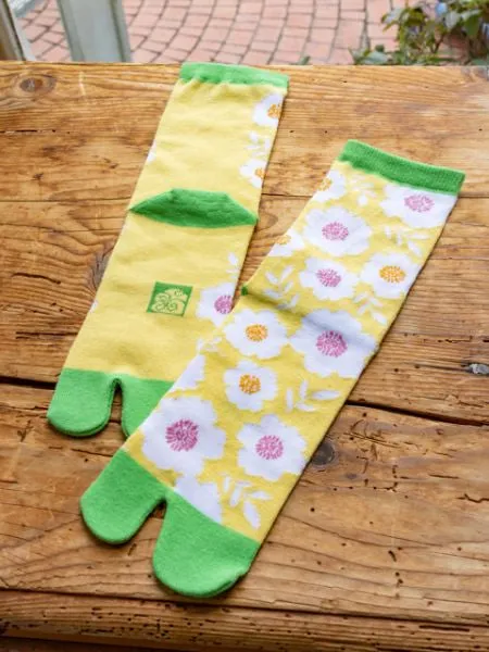 AOI TABI Socks 23??25cm