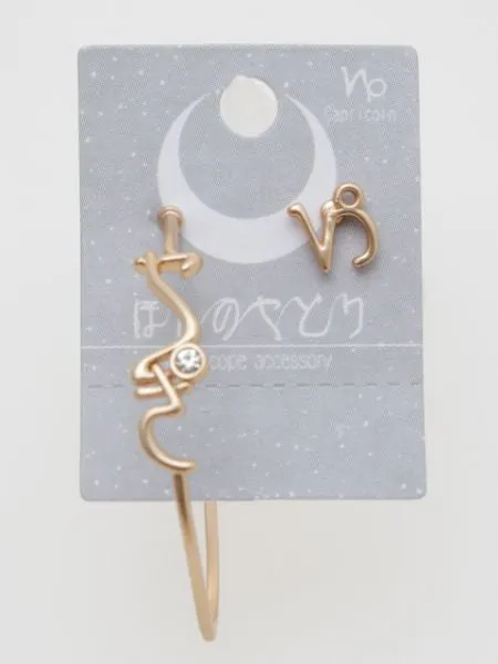 HIRAGANA Zodiac Earrings