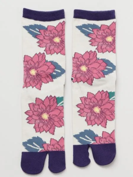 KIKU TABI Socks 23??25cm