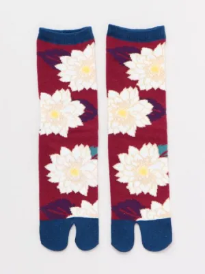 KIKU TABI Socks 23??25cm