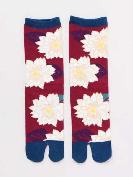 KIKU TABI Socks 23??25cm