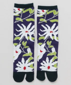 KOBUSHI TABI Socks - 23-25cm
