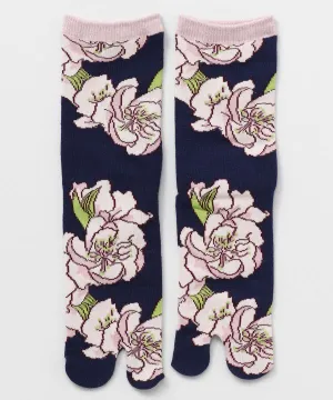 MOMO TABI Socks 23-25cm