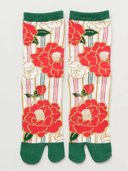 Stripe Camellia TABI Socks 23??25cm