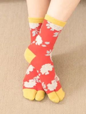 White Peony TABI Socks 23??25cm